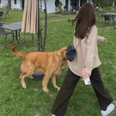 莫丽的朝圣